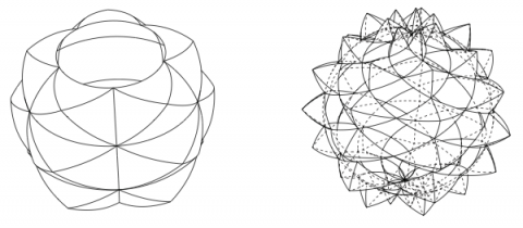 Radiolaria: variation of parameters - increased complexity