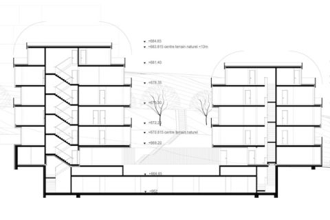 long section